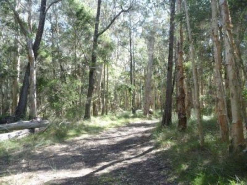 555 Follies Road, Old Bar NSW 2430