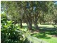 24 Hadley Street, Forster NSW 2428
