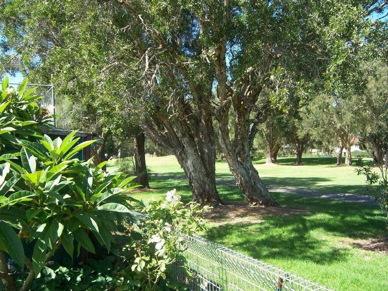 24 Hadley Street, Forster NSW 2428