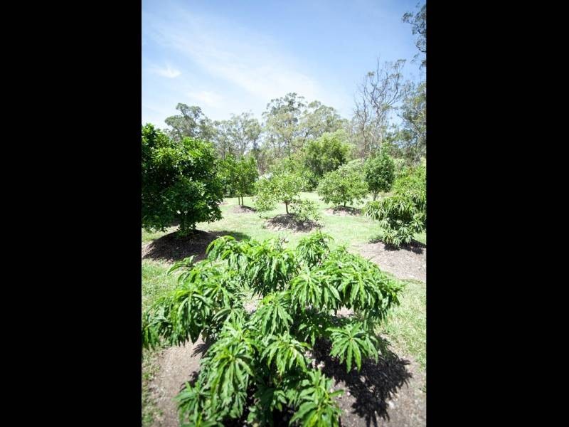 1204 The Lakesway, Darawank NSW 2428