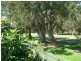 24 Hadley Street, Forster NSW 2428