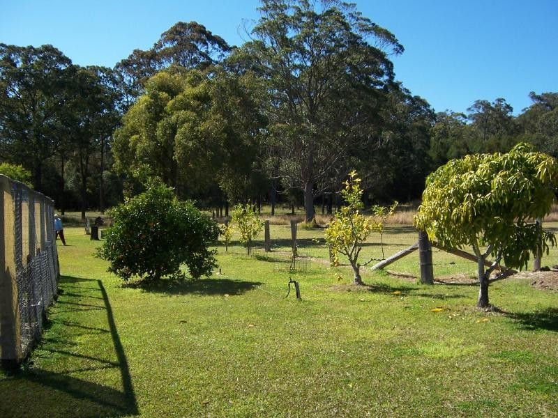 323 Dargavilles Road, Nabiac NSW 2312