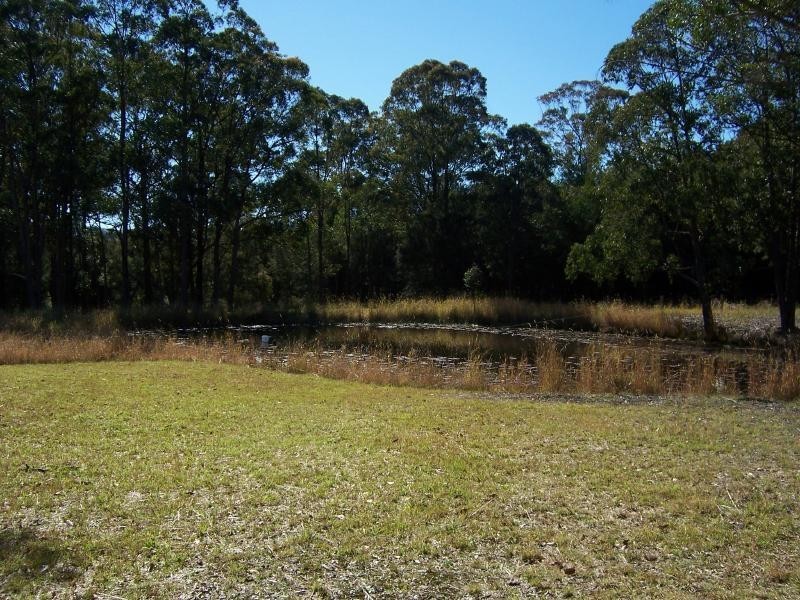 323 Dargavilles Road, Nabiac NSW 2312