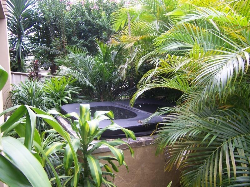 49 Point Road, Tuncurry NSW 2428