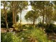 37 Green Point Drive, Forster NSW 2428