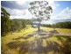 Lot 205 Coomba Road, Whoota NSW 2428