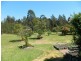 Failford NSW 2430