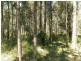 Failford NSW 2430