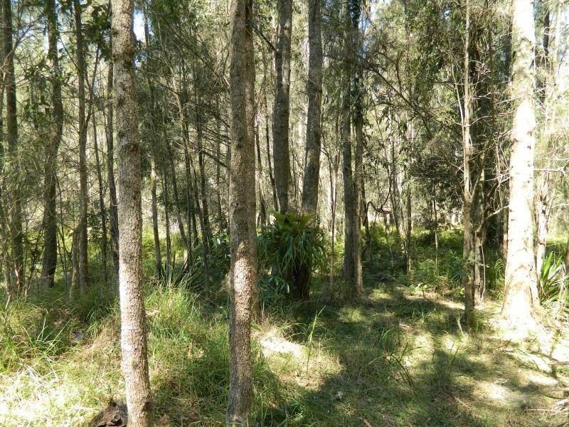 Failford NSW 2430