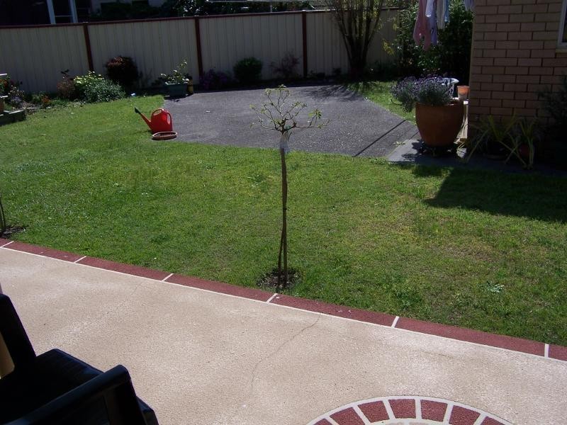 2/3 Strand St, Forster NSW 2428