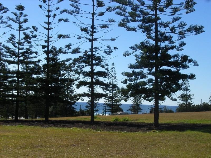 Port Macquarie NSW 2444