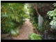 3 Wangi Place, Port Macquarie NSW 2444