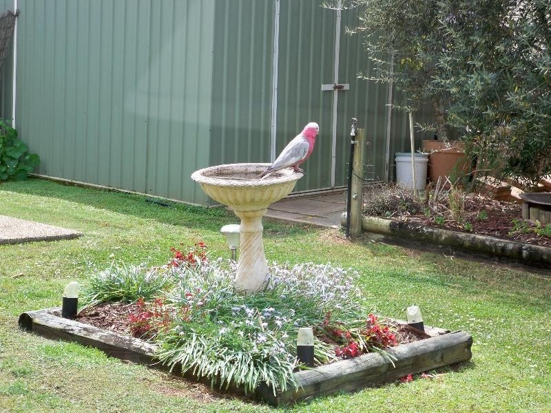 3 Wangi Place, Port Macquarie NSW 2444