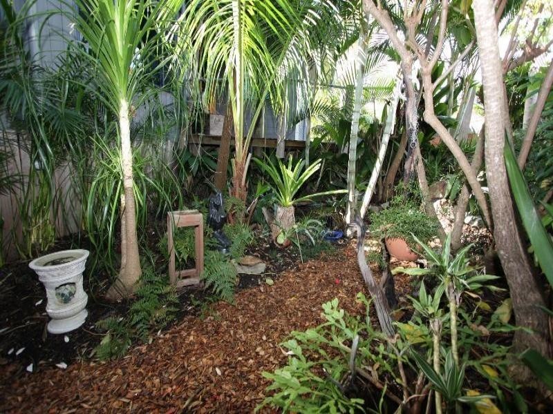 Bonny Hills NSW 2445