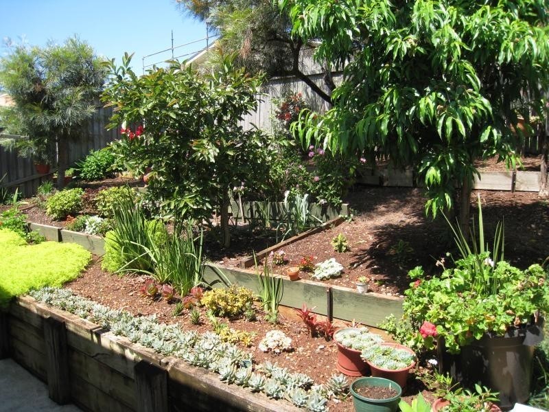 Port Macquarie NSW 2444