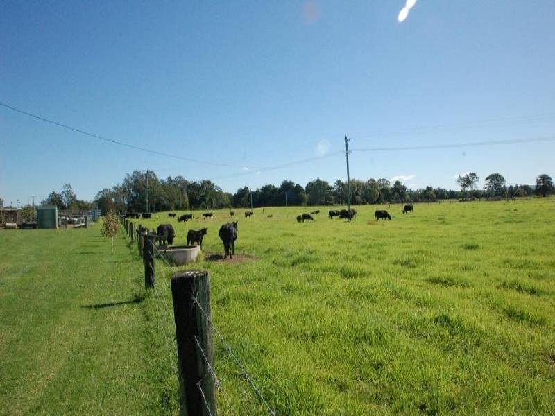 Rawdon Island NSW 2446