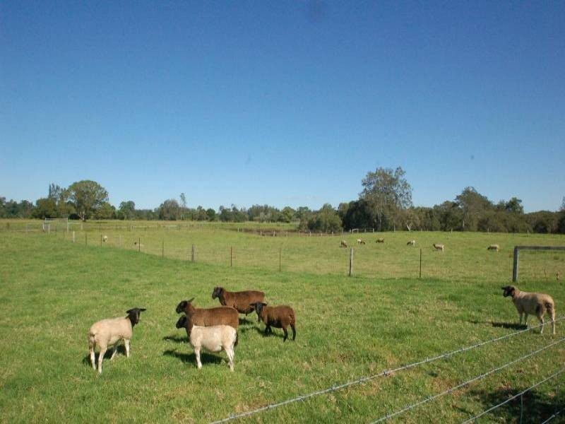Rawdon Island NSW 2446