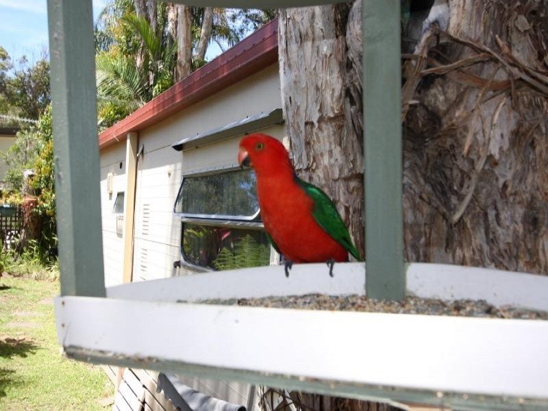 Port Macquarie NSW 2444