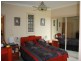 Wauchope NSW 2446