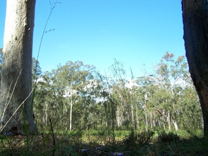 Lot 1 Bellbird Water Estate, Paxton NSW 2325