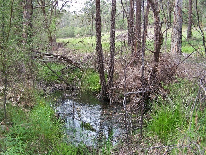 Lot/202 Settlers, Howes Valley NSW 2330
