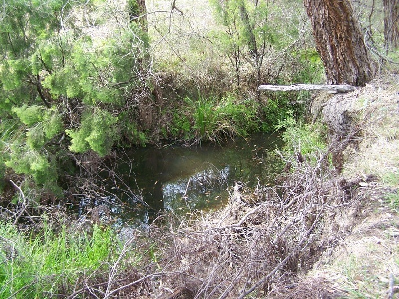 Lot/202 Settlers, Howes Valley NSW 2330