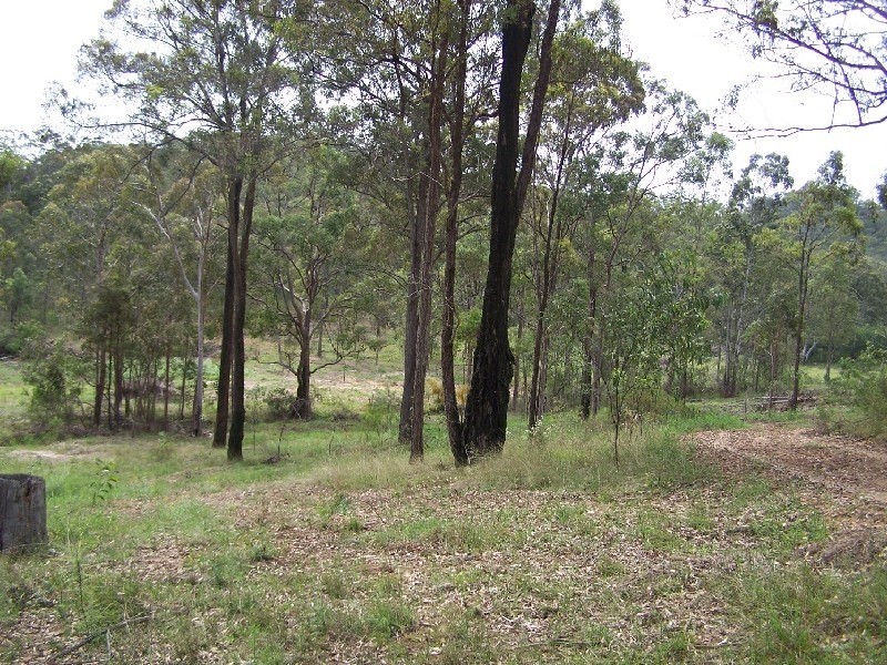 Lot/202 Settlers, Howes Valley NSW 2330