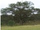 Lot/108 Settlers Way, Howes Valley NSW 2330