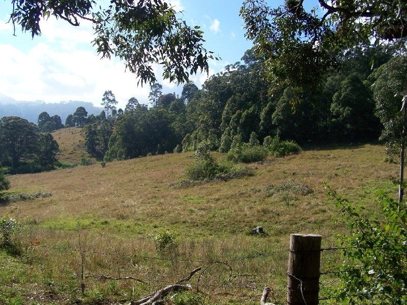 Lot 842/1213 Mount View, Mount View NSW 2325