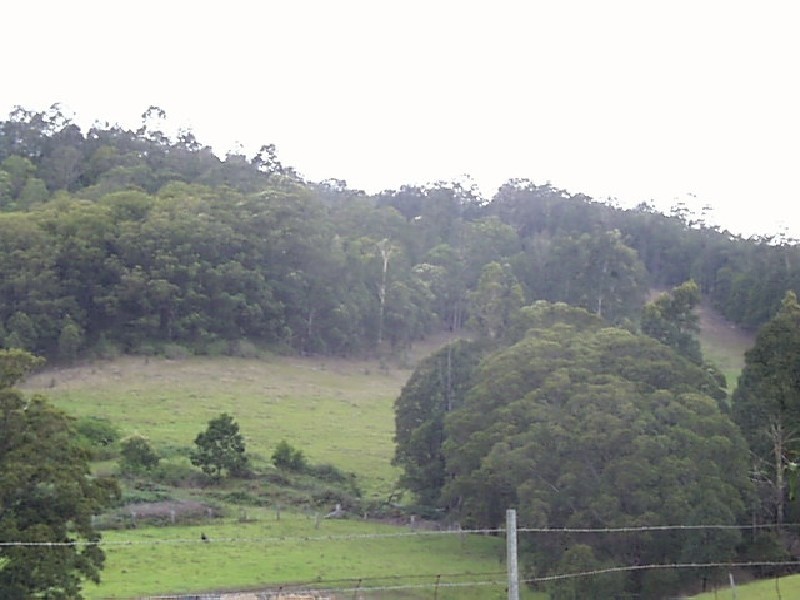Lot 842/1213 Mount View, Mount View NSW 2325