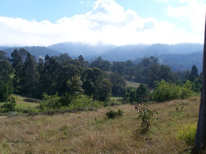 Lot 842/1213 Mount View, Mount View NSW 2325