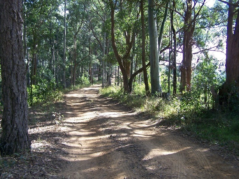 Lot 842/1213 Mount View, Mount View NSW 2325