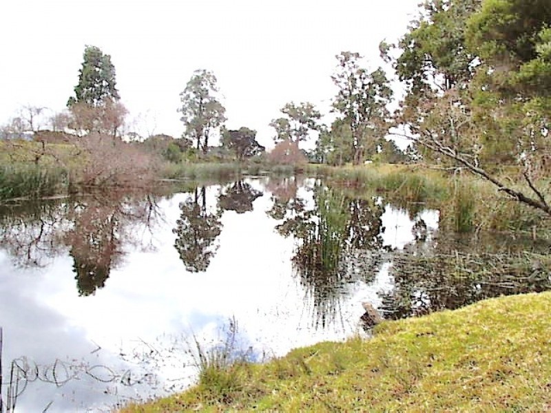 61 Thursbys, Congewai NSW 2325
