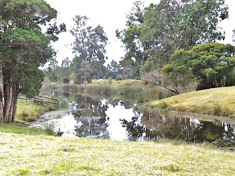 61 Thursbys, Congewai NSW 2325