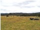 61 Thursbys, Congewai NSW 2325