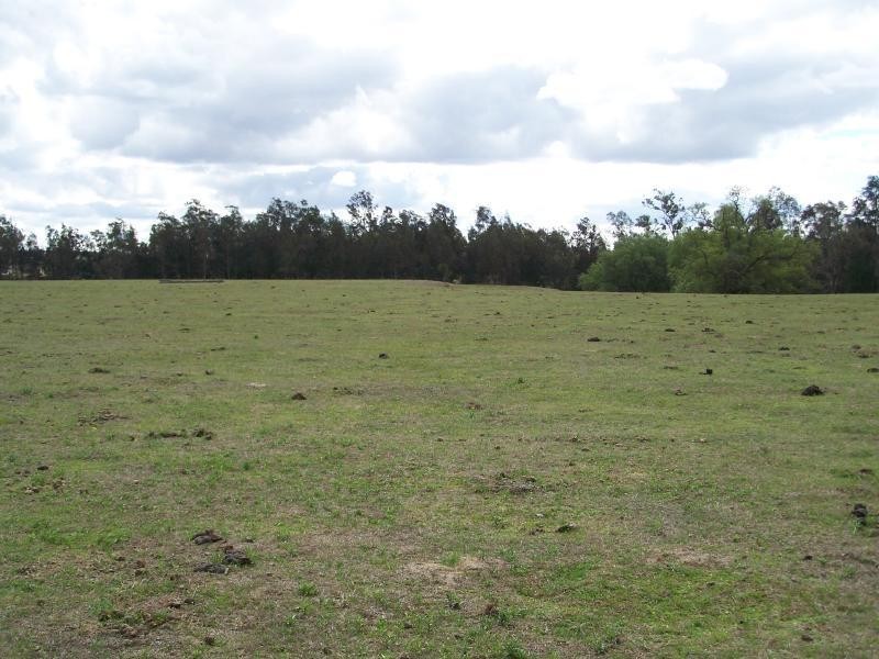 6 Lovedale, Lovedale NSW 2325