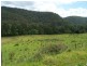 Lot/10 Cedar Creek Road, Cedar Creek NSW 2325