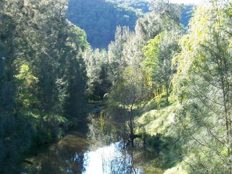 Lot/10 Cedar Creek Road, Cedar Creek NSW 2325