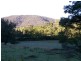 Lot/10 Cedar Creek Road, Cedar Creek NSW 2325