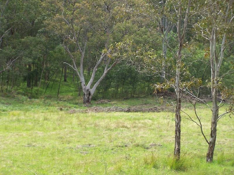 Lot/107 Settlers Way, Howes Valley NSW 2330