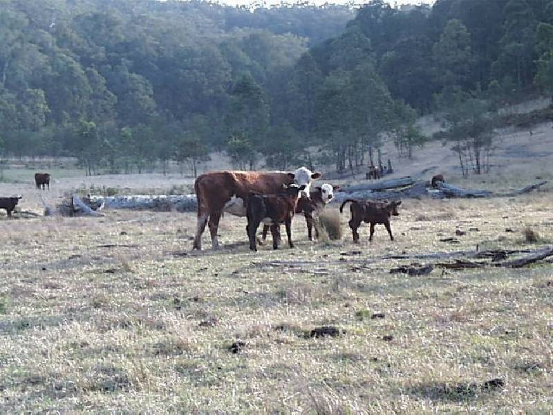 Howes Valley NSW 2330
