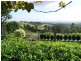 151 Bimbadeen Road, Mount View NSW 2325