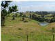 151 Bimbadeen Road, Mount View NSW 2325