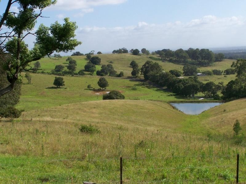 151 Bimbadeen Road, Mount View NSW 2325