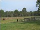 1040 Wollombi Road, Millfield NSW 2325