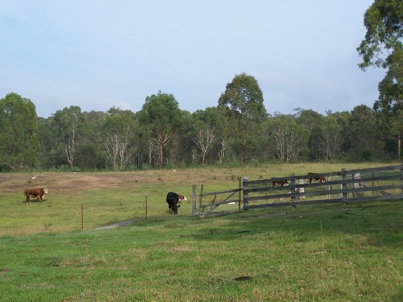 1040 Wollombi Road, Millfield NSW 2325
