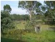 1040 Wollombi Road, Millfield NSW 2325