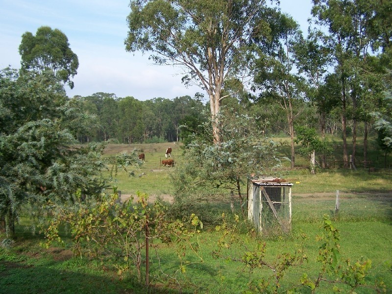 1040 Wollombi Road, Millfield NSW 2325