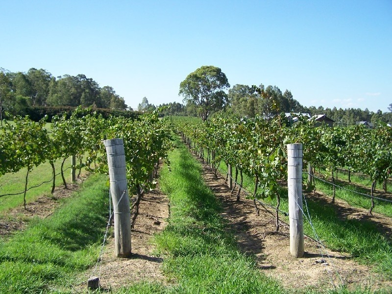 Lot 4 Kelman Estate, Pokolbin NSW 2320