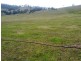 Lot 532 Mount View Road, Mount View NSW 2325
